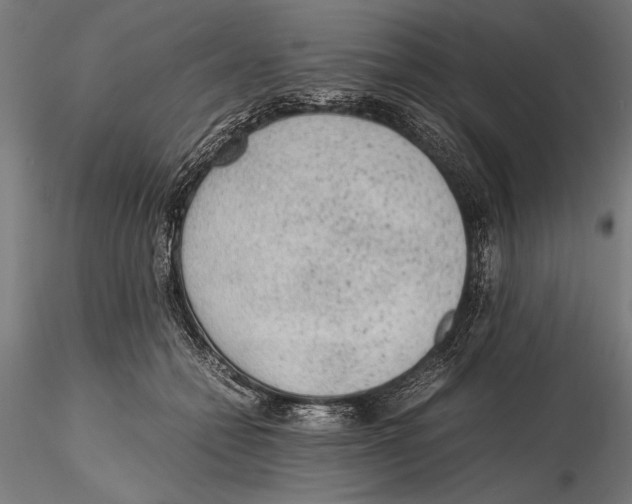 X0000115600558200912081116