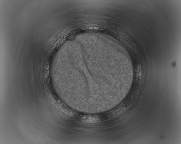 X0000115600559200912081116