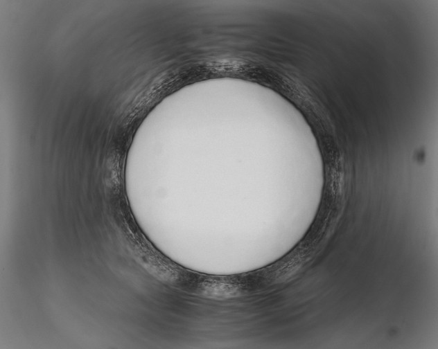 X0000115600561200912081116