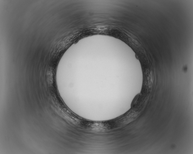 X0000115600562200912081116