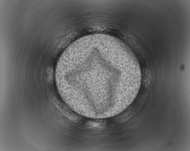 X0000115600563200912081116