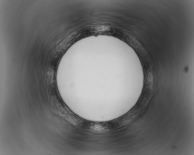 X0000115600565200912081116