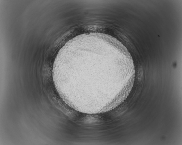 X0000115600569200912081116