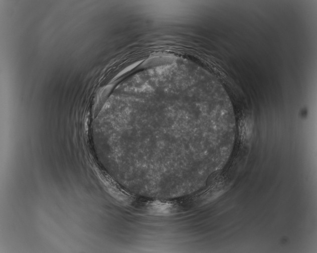 X0000115600570200912081116