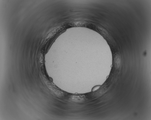 X0000115600571200912081116