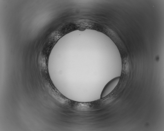 X0000115600573200912081116