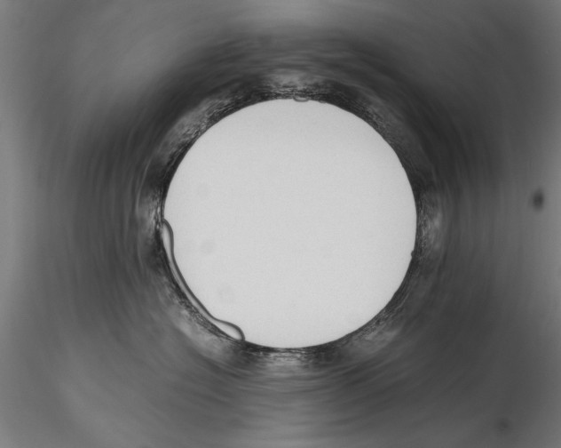 X0000115600574200912081116