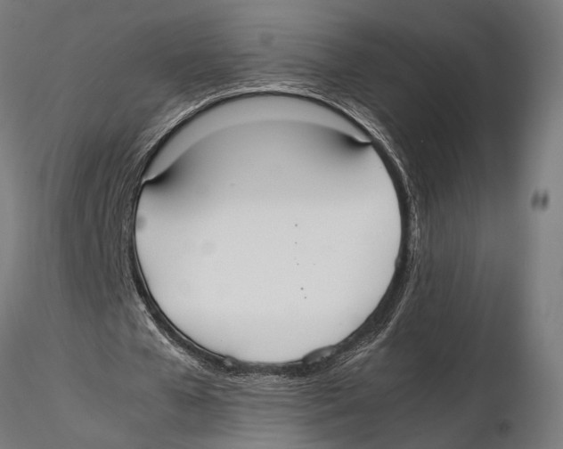 X0000115600577200912081115