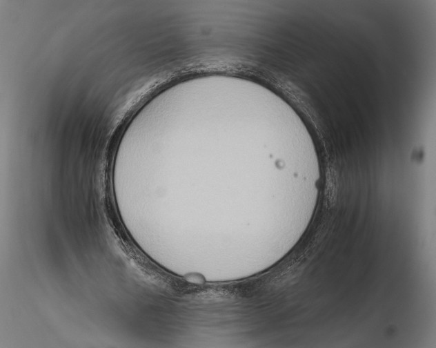 X0000115600578200912081115