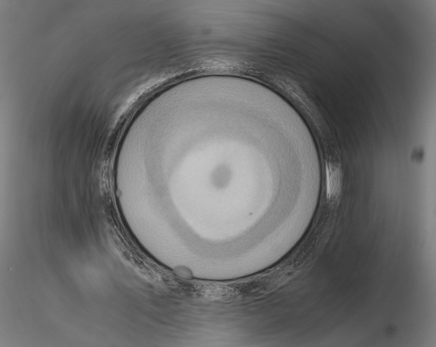 X0000115600579200912081115