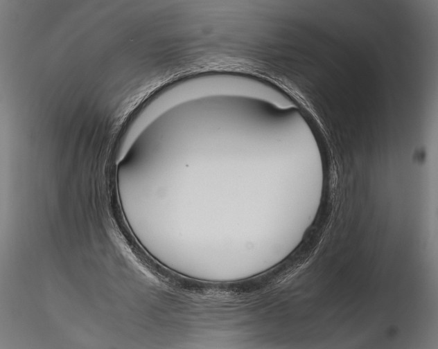 X0000115600581200912081115