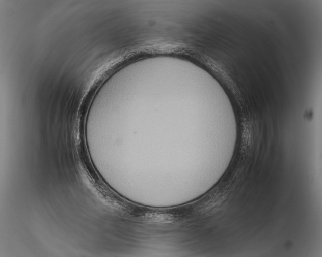 X0000115600582200912081115