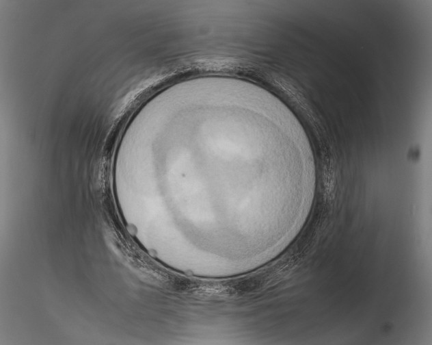 X0000115600583200912081115