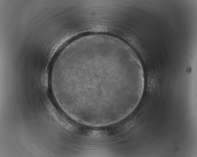 X0000115600584200912081115