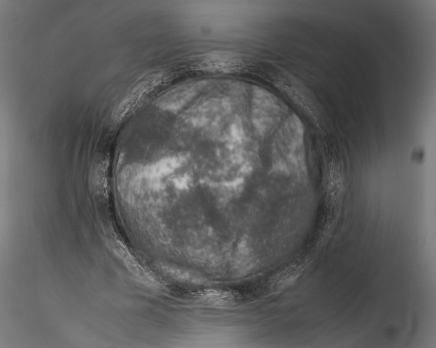 X0000115600585200912081115