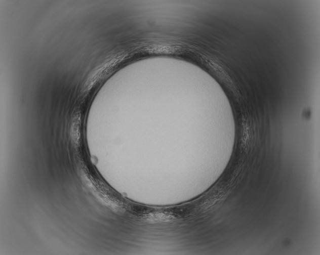 X0000115600586200912081115