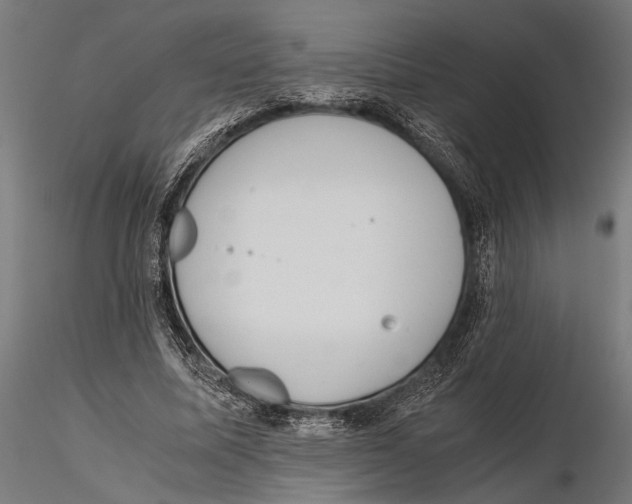 X0000115600587200912081115