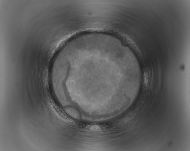 X0000115600588200912081115