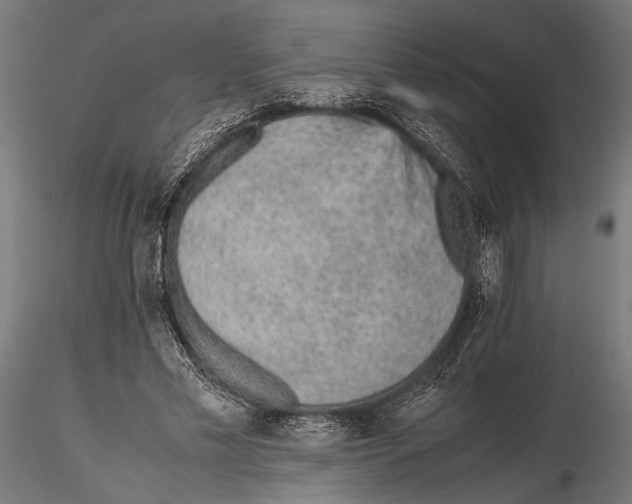 X0000115600589200912081115