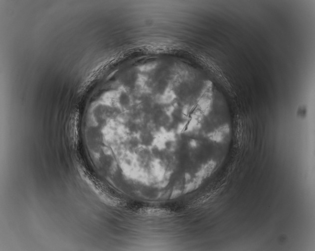 X0000115600590200912081115