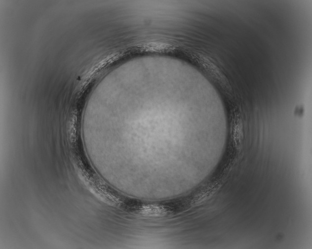 X0000115600591200912081115