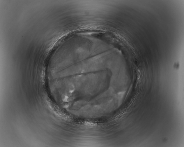 X0000115600592200912081115