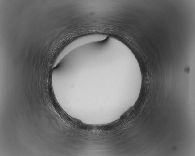 X0000115600593200912081115