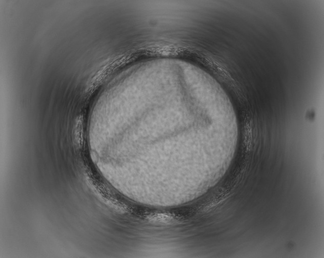 X0000115600594200912081115