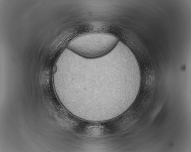 X0000115600595200912081115