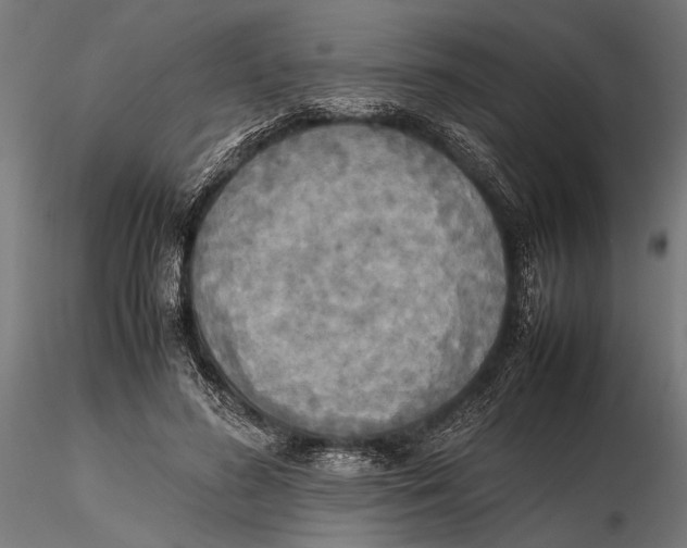 X0000115600596200912081115