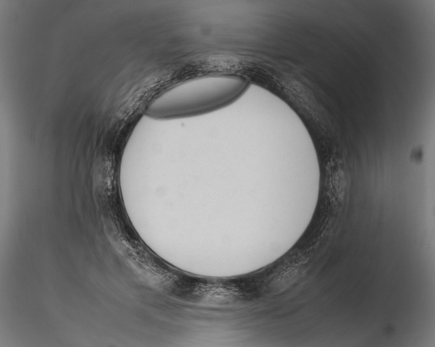 X0000115600597200912081115