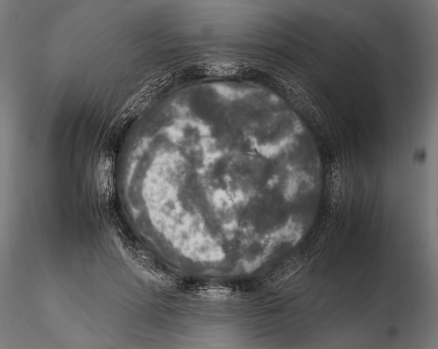 X0000115600598200912081115