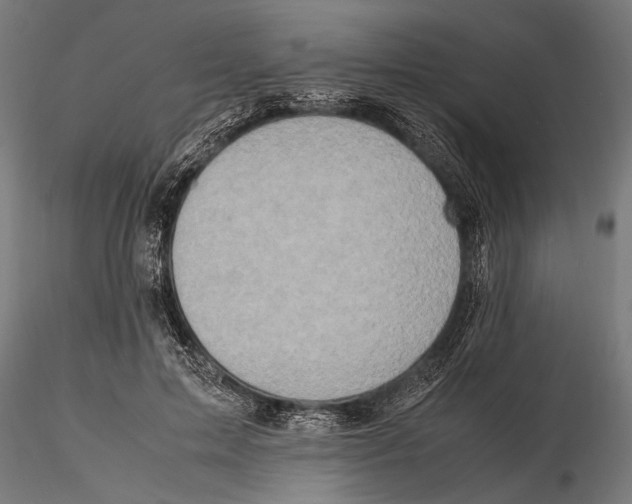 X0000115600599200912081115