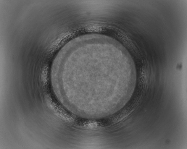 X0000115600600200912081115