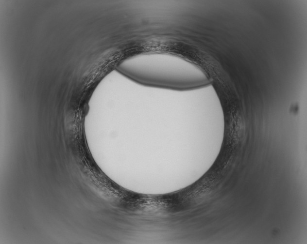 X0000115600601200912081115