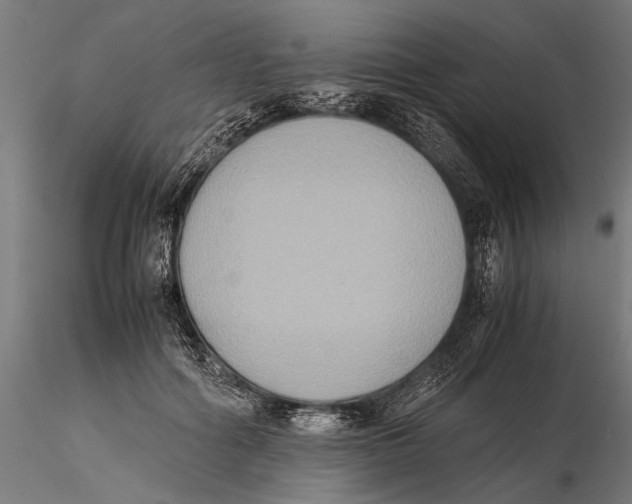 X0000115600602200912081115