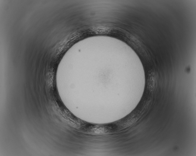 X0000115600604200912081115