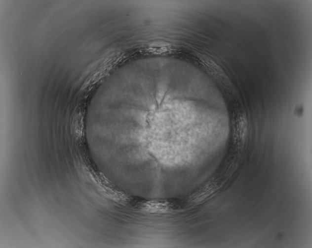 X0000115600606200912081115