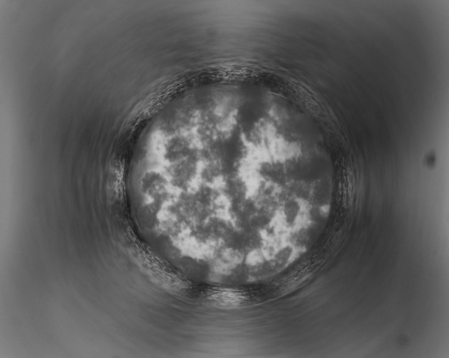 X0000115600610200912081115