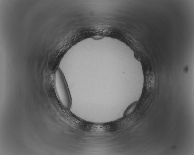 X0000115600613200912081115