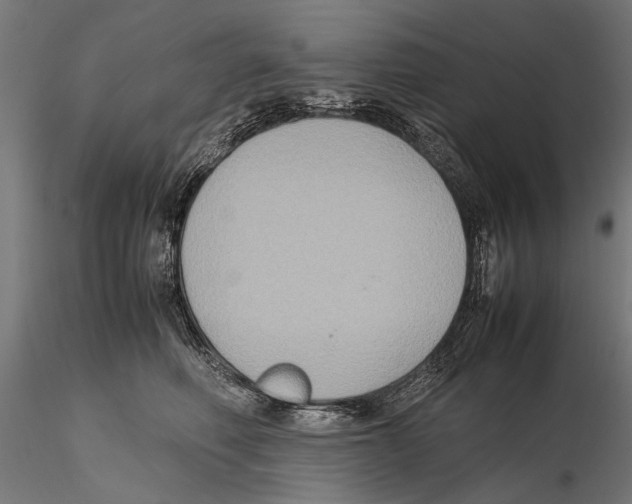 X0000115600614200912081115