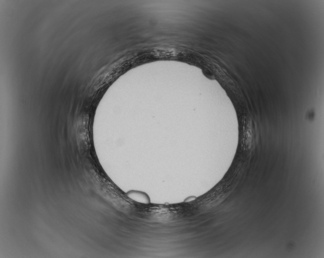 X0000115600616200912081115