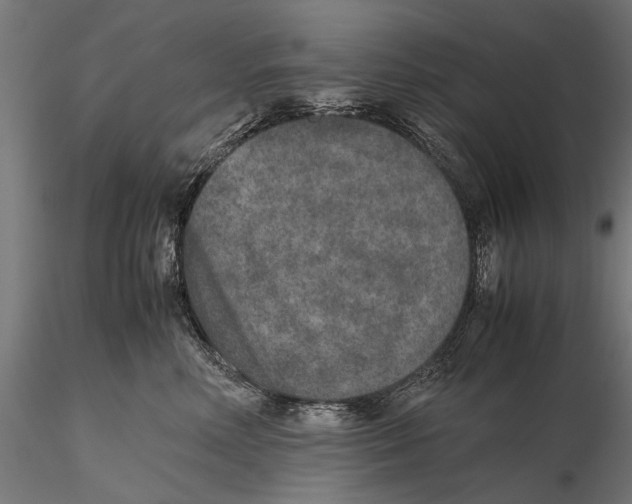 X0000115600618200912081115