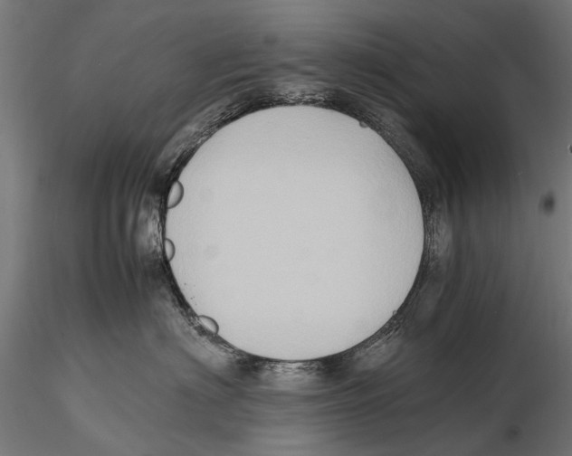 X0000115600622200912081115