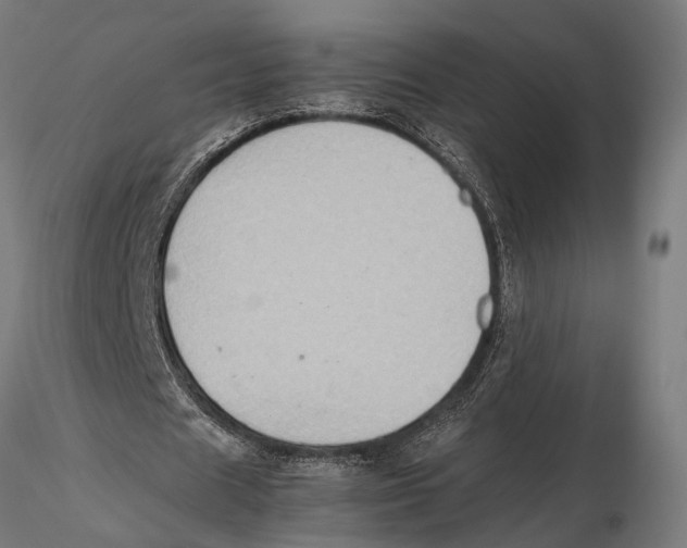 X0000115600625200912081114