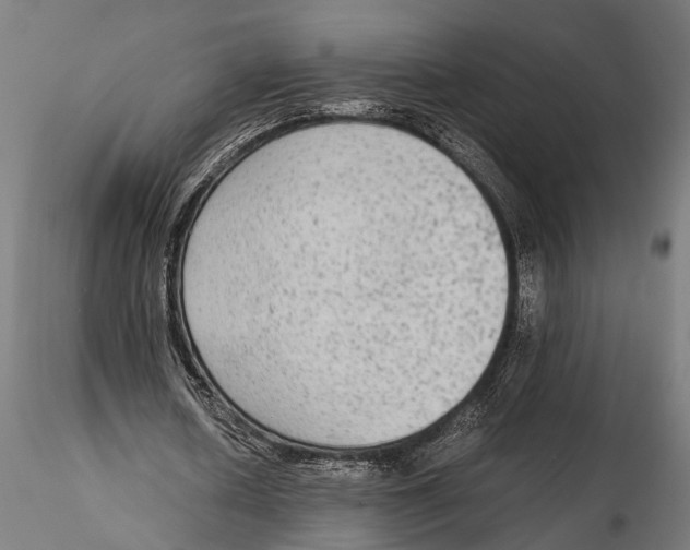 X0000115600626200912081114