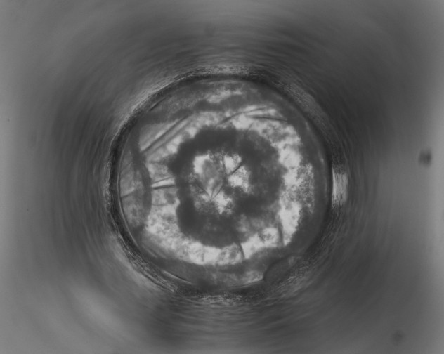 X0000115600627200912081114