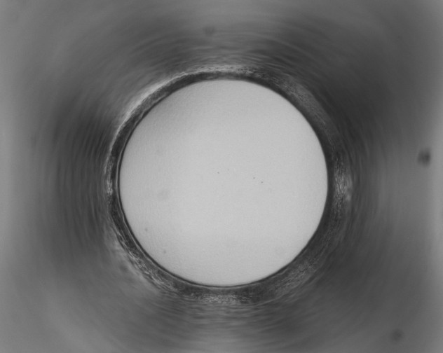 X0000115600628200912081114