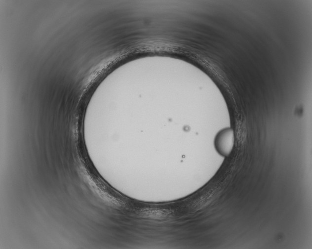 X0000115600629200912081114