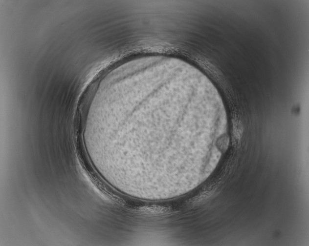 X0000115600630200912081114